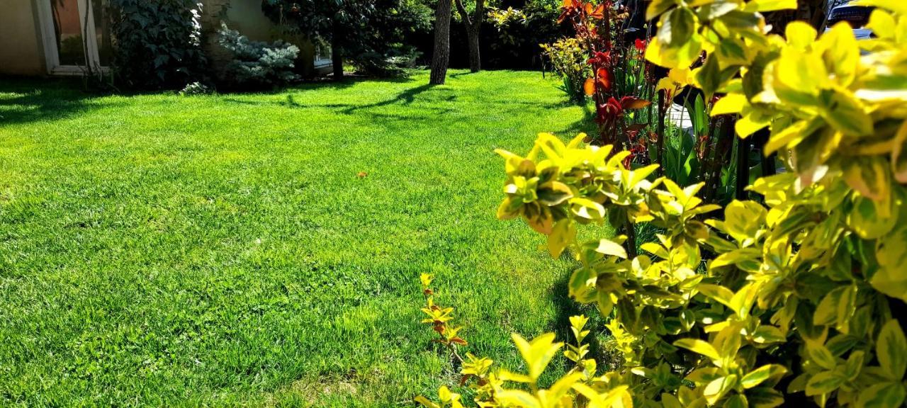 Green Garden Tiflis Exterior foto